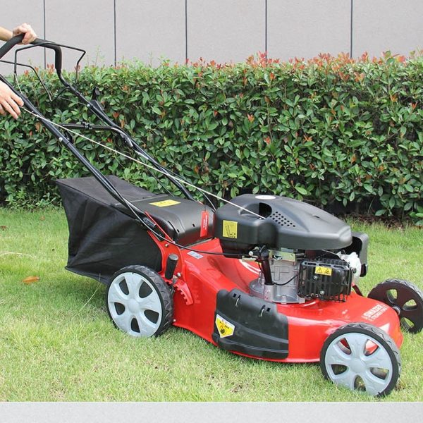 Swazer Benzinli Çim Biçme Makinesi 7.5 Hp 4 Zamanlı Hava Soğutmalı 150cc - Görsel 2